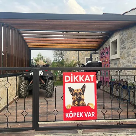 Erol Daire Datça